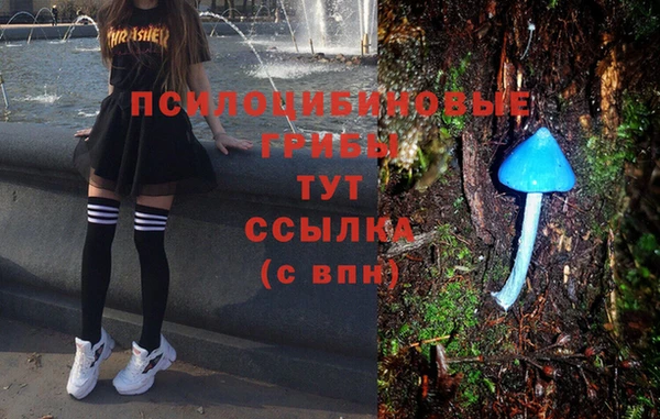 дживик Аркадак