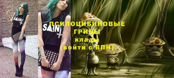 не бодяженный Арсеньев